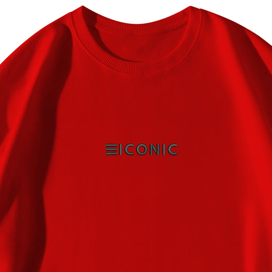 BE ICONIC Adult Embroidered Pullover Sweater - ENE TRENDS -custom designed-personalized- tailored-suits-near me-shirt-clothes-dress-amazon-top-luxury-fashion-men-women-kids-streetwear-IG-best
