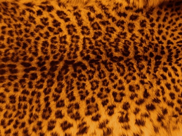 Leopard Print in Fashion