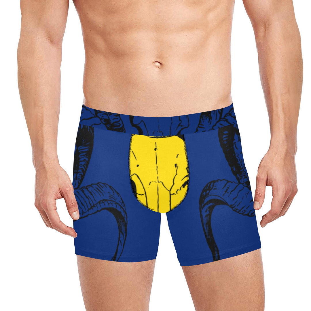 novelty_gift_underwear_Mens_briefs_pockets_hidden_ LA_Rams_Team_sports_for him 