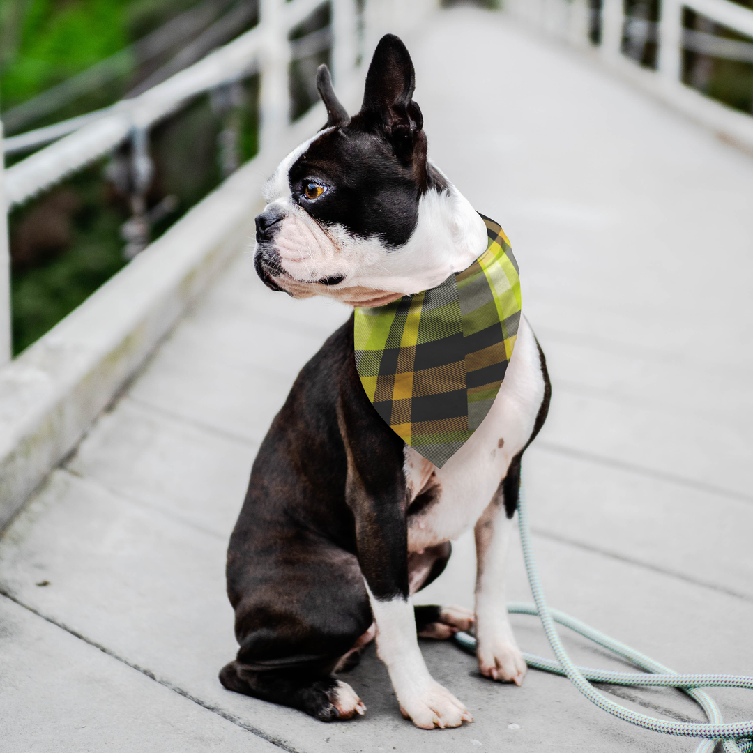 designer-dog-bandana-pet-stylish-style-love
