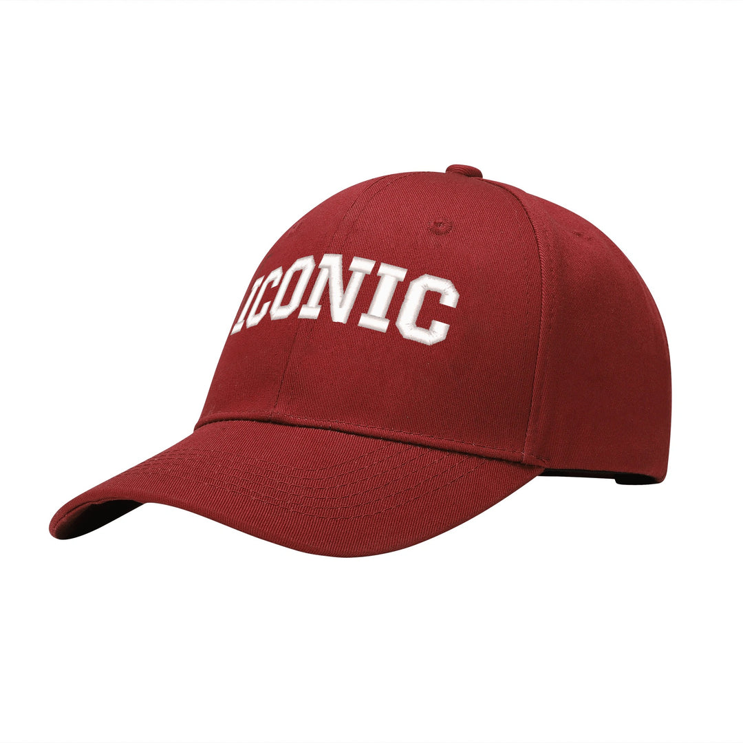 ICONIC Embroidered Snapback Baseball Caps - ENE TRENDS -custom designed-personalized-near me-shirt-clothes-dress-amazon-top-luxury-fashion-men-women-kids-streetwear-IG