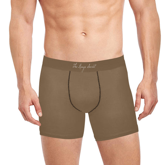 Brown_mens_underwear_trending_color, Luxurious Boxer_Breifs_men_novelty_gift_underwear_pockets_hidden_sports_for him_designer