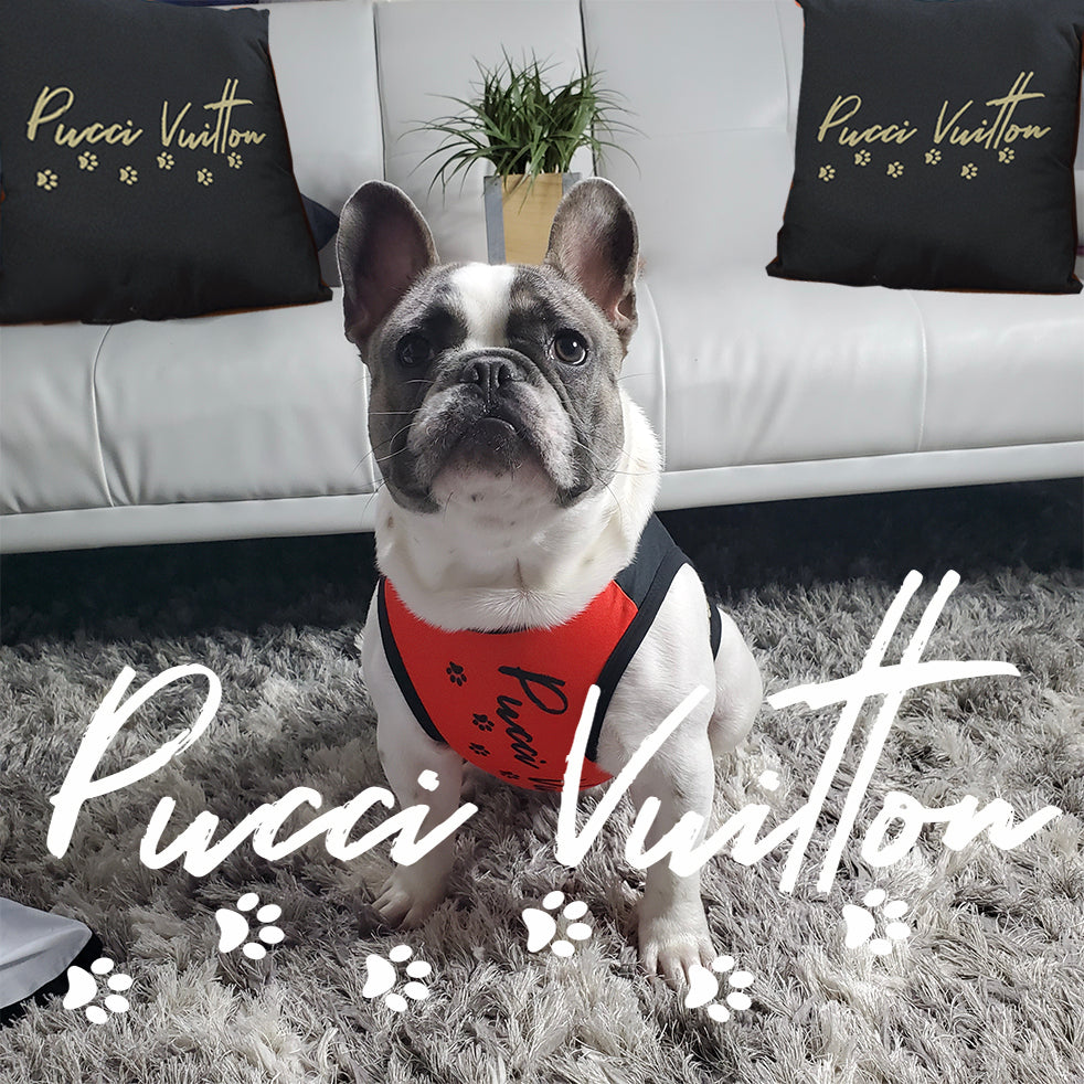 Pucci Vuitton 3 Lucky Elements Black Pet Bed - ENE TRENDS -custom designed-personalized-near me-shirt-clothes-dress-amazon-top-luxury-fashion-men-women-kids-streetwear-IG