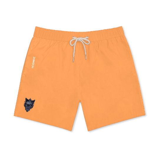 mens shorts,MOQ1,Delivery days 5